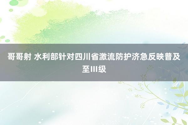 哥哥射 水利部针对四川省激流防护济急反映普及至Ⅲ级