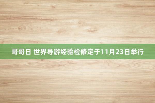 哥哥日 世界导游经验检修定于11月23日举行