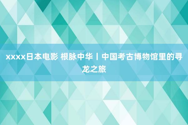 xxxx日本电影 根脉中华丨中国考古博物馆里的寻龙之旅