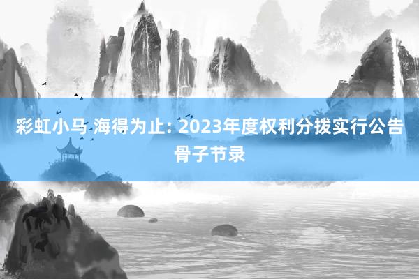 彩虹小马 海得为止: 2023年度权利分拨实行公告骨子节录