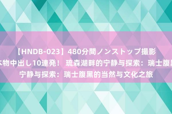 【HNDB-023】480分間ノンストップ撮影 ノーカット編集で本物中出し10連発！ 琉森湖畔的宁静与探索：瑞士腹黑的当然与文化之旅