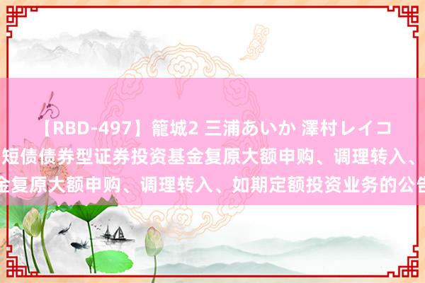 【RBD-497】籠城2 三浦あいか 澤村レイコ ASUKA 对于汇添富丰利短债债券型证券投资基金复原大额申购、调理转入、如期定额投资业务的公告