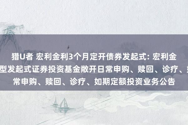 猎U者 宏利金利3个月定开债券发起式: 宏利金利3个月如期敞开债券型发起式证券投资基金敞开日常申购、赎回、诊疗、如期定额投资业务公告