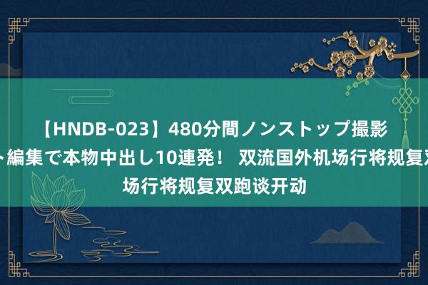 【HNDB-023】480分間ノンストップ撮影 ノーカット編集で本物中出し10連発！ 双流国外机场行将规复双跑谈开动