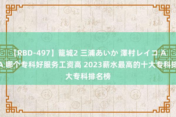 【RBD-497】籠城2 三浦あいか 澤村レイコ ASUKA 哪个专科好服务工资高 2023薪水最高的十大专科排名榜