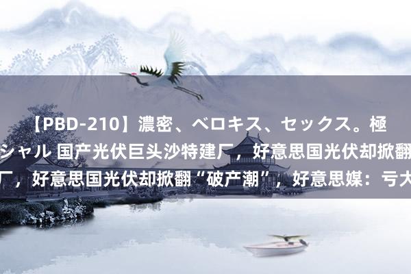 【PBD-210】濃密、ベロキス、セックス。極上接吻性交 8時間スペシャル 国产光伏巨头沙特建厂，好意思国光伏却掀翻“破产潮”，好意思媒：亏大了