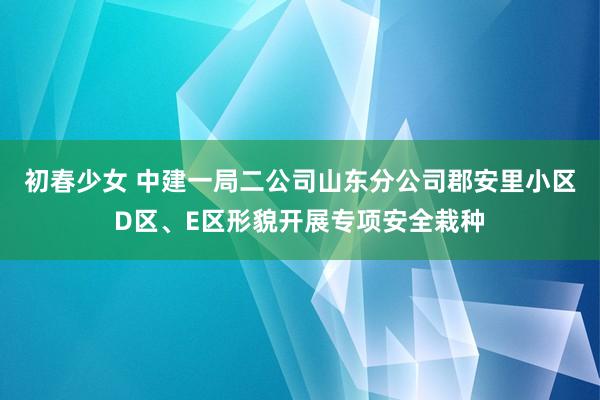 初春少女 中建一局二公司山东分公司郡安里小区D区、E区形貌开展专项安全栽种