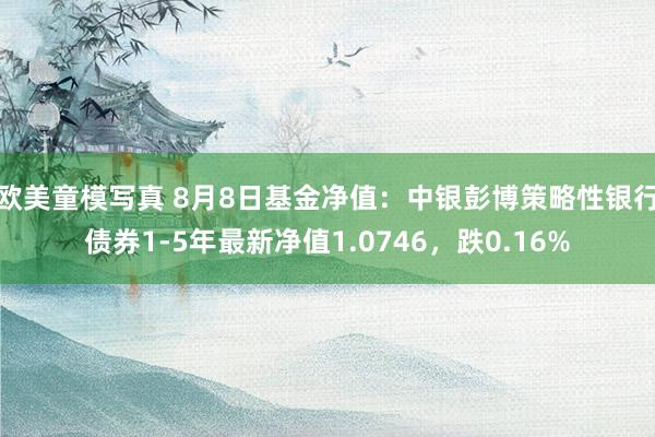 欧美童模写真 8月8日基金净值：中银彭博策略性银行债券1-5年最新净值1.0746，跌0.16%