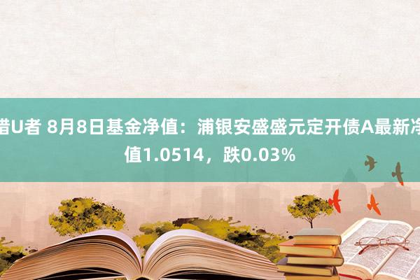 猎U者 8月8日基金净值：浦银安盛盛元定开债A最新净值1.0514，跌0.03%