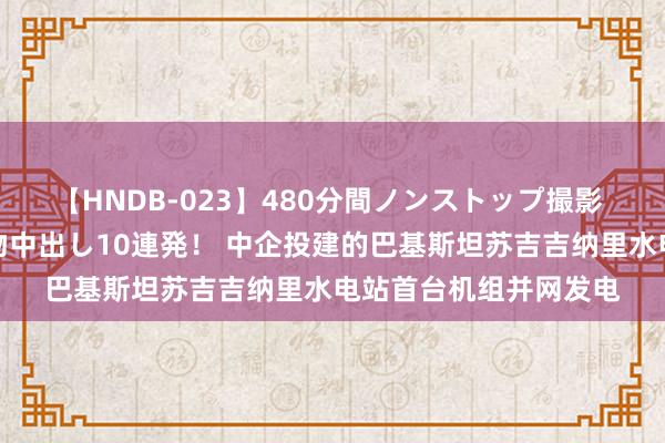 【HNDB-023】480分間ノンストップ撮影 ノーカット編集で本物中出し10連発！ 中企投建的巴基斯坦苏吉吉纳里水电站首台机组并网发电