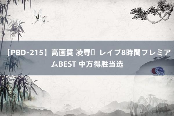 【PBD-215】高画質 凌辱・レイプ8時間プレミアムBEST 中方得胜当选