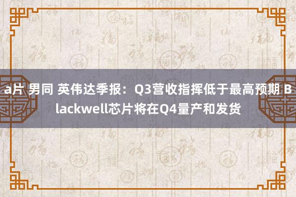 a片 男同 英伟达季报：Q3营收指挥低于最高预期 Blackwell芯片将在Q4量产和发货