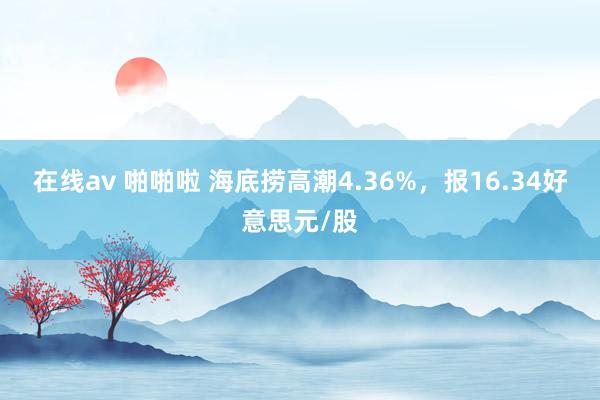 在线av 啪啪啦 海底捞高潮4.36%，报16.34好意思元/股