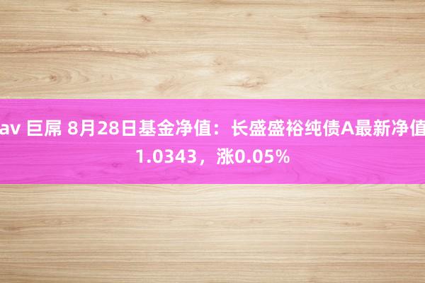 av 巨屌 8月28日基金净值：长盛盛裕纯债A最新净值1.0343，涨0.05%