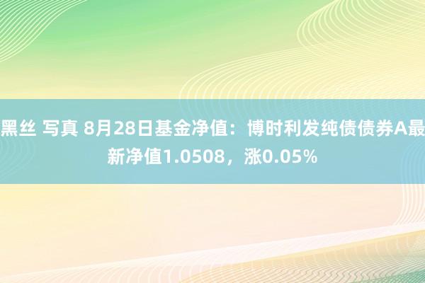 黑丝 写真 8月28日基金净值：博时利发纯债债券A最新净值1.0508，涨0.05%