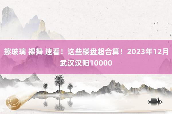 擦玻璃 裸舞 速看！这些楼盘超合算！2023年12月武汉汉阳10000