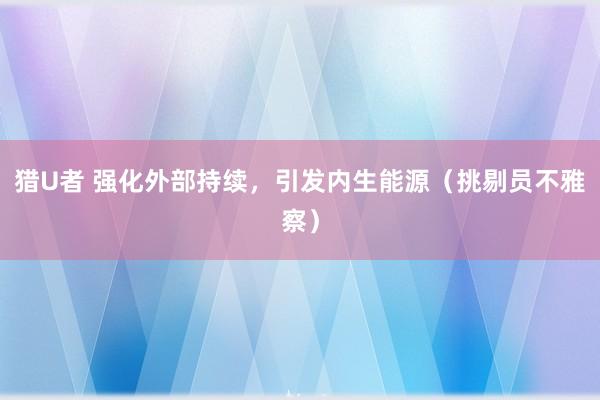 猎U者 强化外部持续，引发内生能源（挑剔员不雅察）