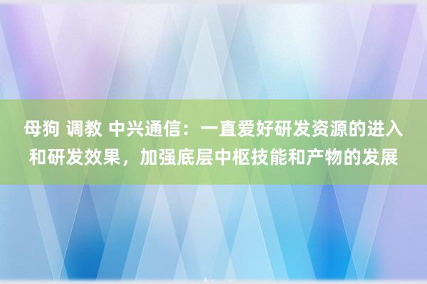 母狗 调教 中兴通信：一直爱好研发资源的进入和研发效果，加强底层中枢技能和产物的发展